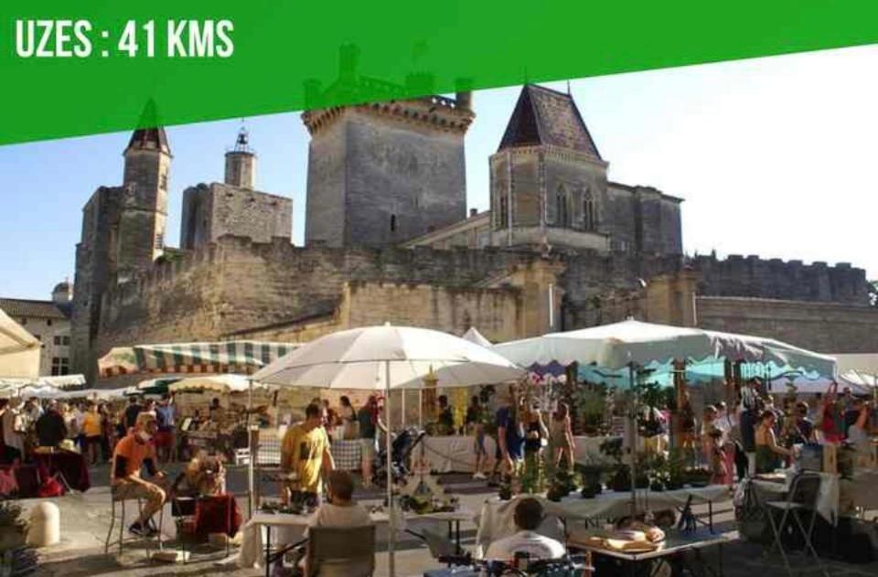 Апартаменты Le Patio De Provence En Avignon - Hypercentre, Clim, Wifi, Calme Экстерьер фото